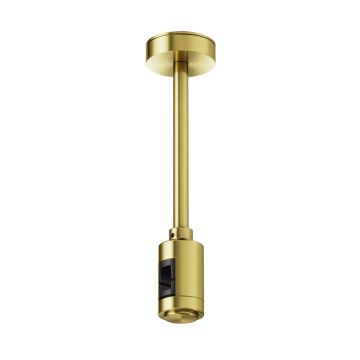 Maytoni Flarity TRA156C-SL1-BS Suport
