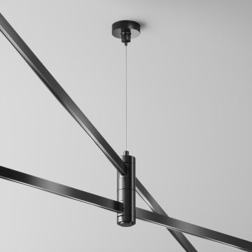 Maytoni Flarity TRA157SW-D1-B Suport IP20