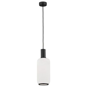 Argon SAGUNTO 8563 Lampă cu pendul 1x15W/E27 IP20