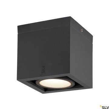SLV ESKINA 1006316 Lumină montată pe suprafață 1x15W/LED 3000K|4000K 1100LM|1200LM IP65