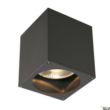 SLV THEO 229555 Lustră de tavan 1x75W/GU10/ES111 IP44
