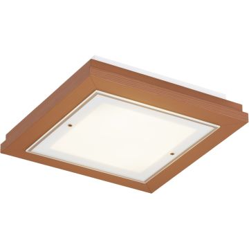 Argon TABOR 1872 Lampă de tavan 4x15W/E27 ip20