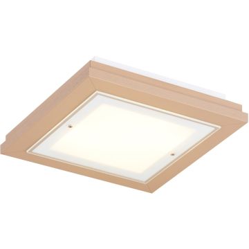 Argon TABOR 7267 Lampă de tavan 2x15W/E27 ip20