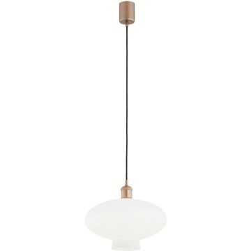 Argon TRESCO 8980 Lampă cu pendul 1x15W/E27 ip20